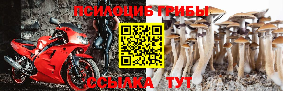 Героин Новошахтинск