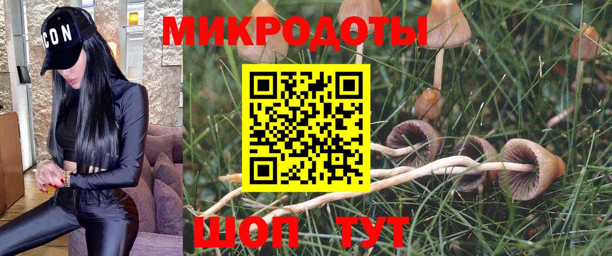 Галлюциногенные грибы мухоморы Новошахтинск