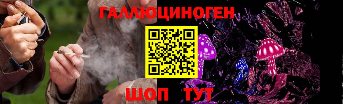 Псилоцибиновые грибы прущие грибы  Псилоцибиновые грибы Psilocybine cubensis  Новошахтинск  Вход с VPN 